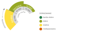 użytkowanie odmiany kukurydzy Poesi CS